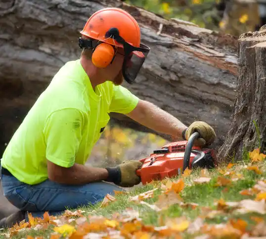 tree services Darlington